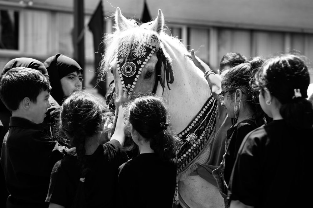 Photograph by mahdi jangjo