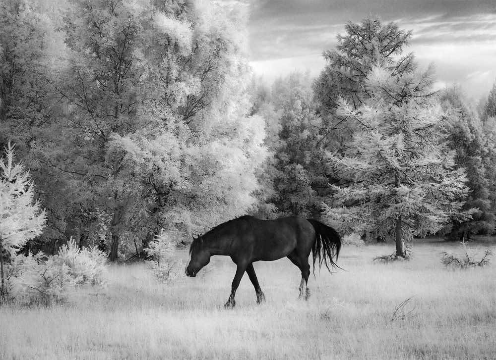 Photograph by Елена Харитонова