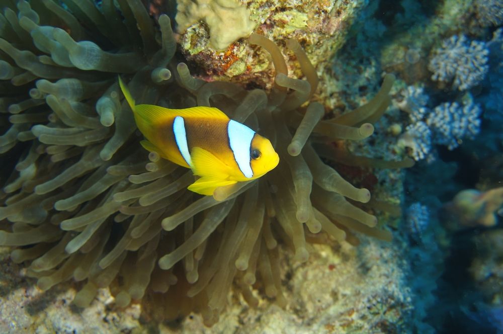 Photograph by Максим Роганов