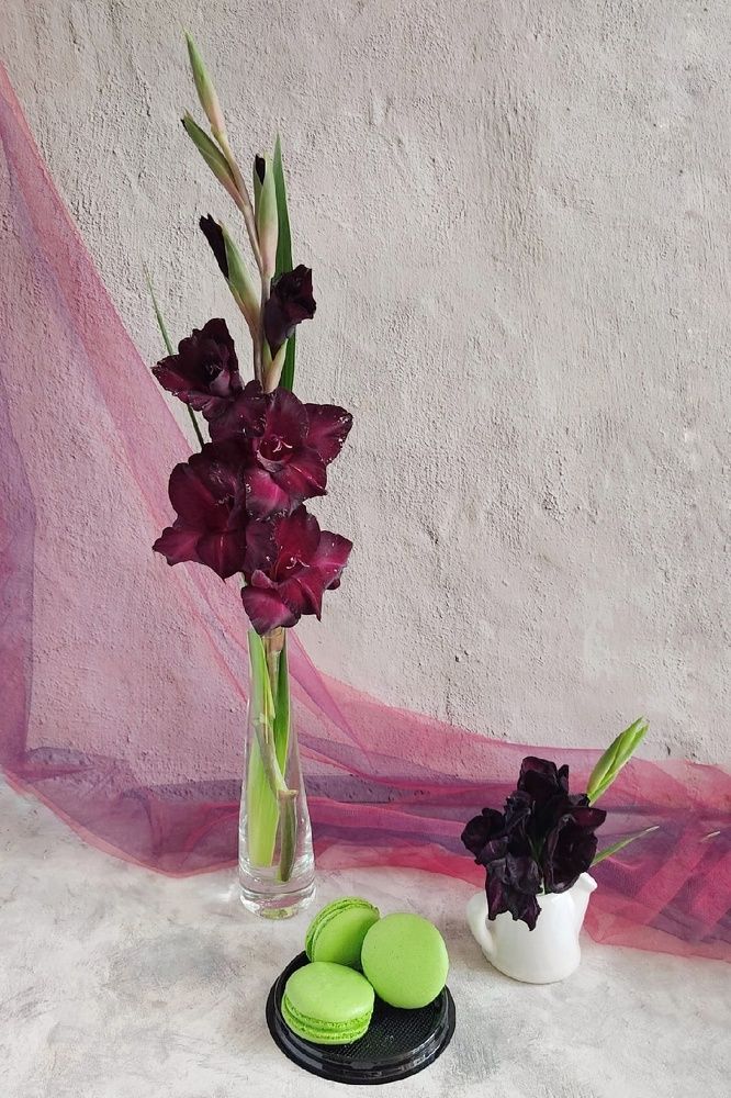 Photograph by Ольга Полякова