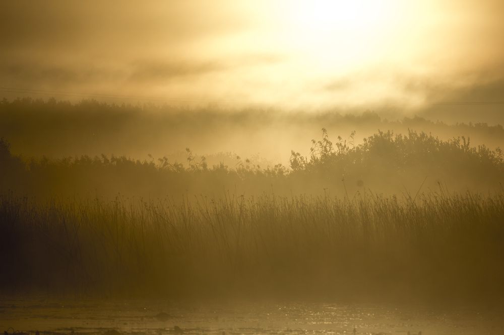 Фотография автора Александр Собокарь