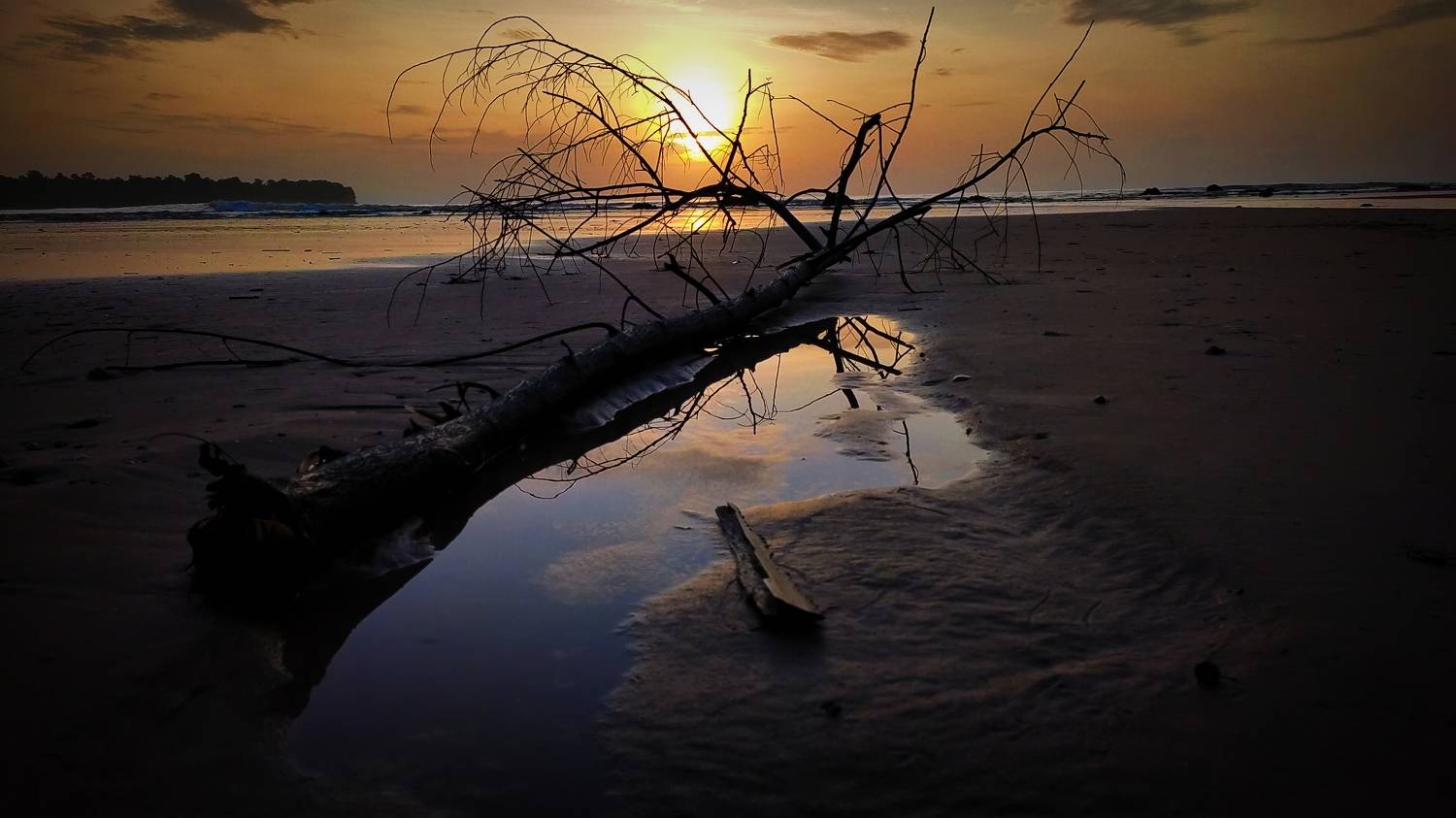 Creative photography butler sea beach