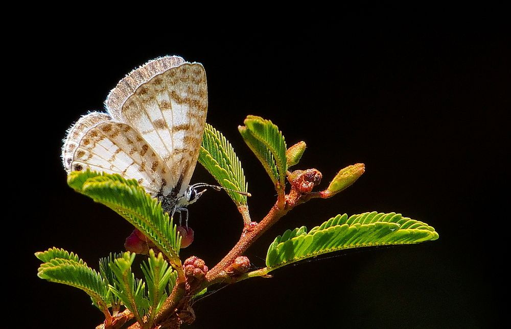 The beautiful composition of nature