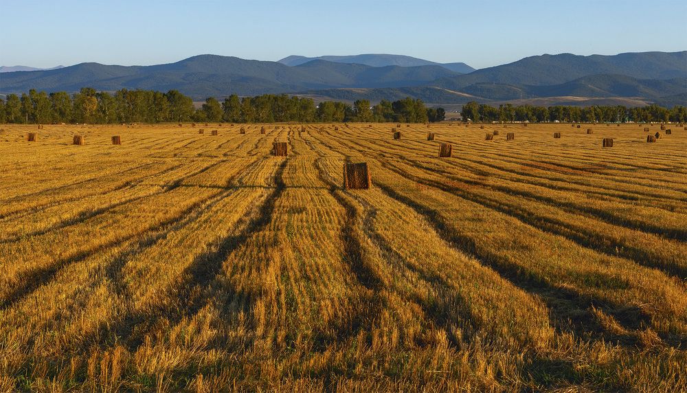 Photograph by VLAD1962 VLAD1962