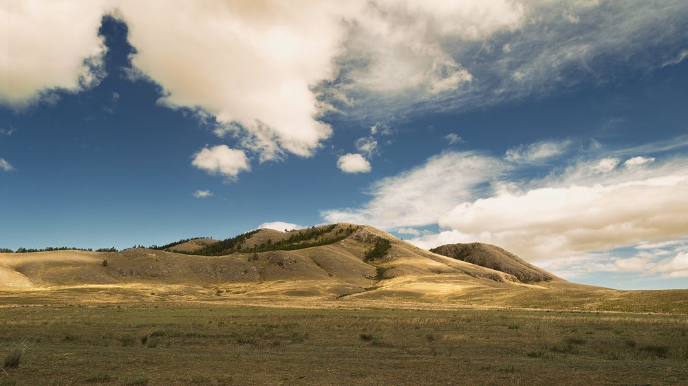 Photograph by VLAD1962 VLAD1962