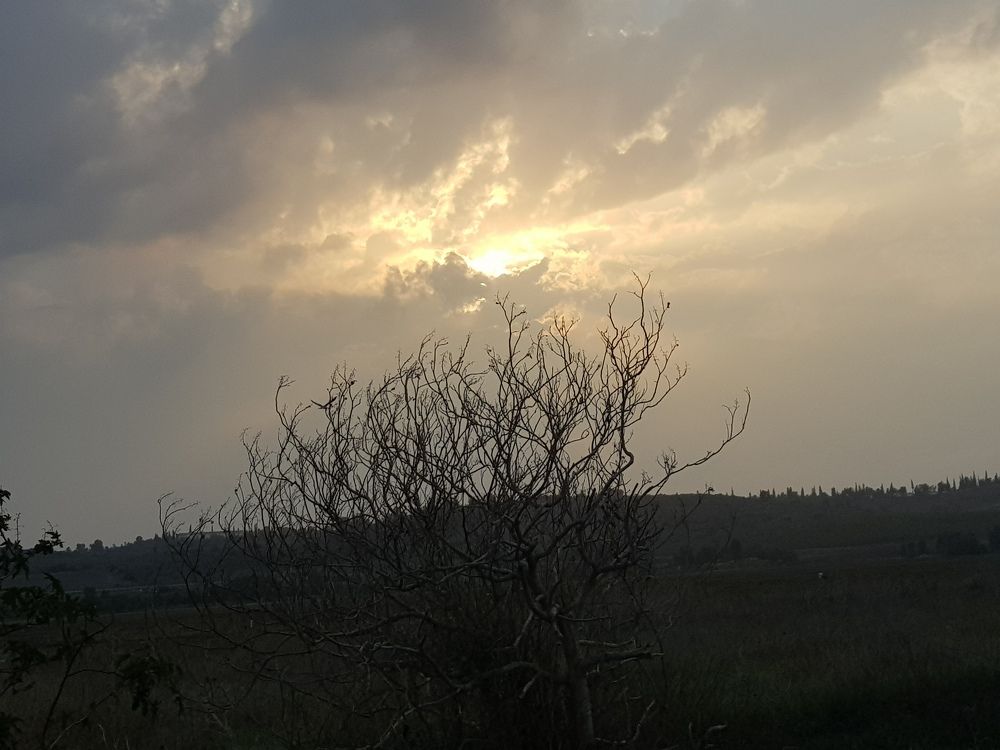 Photograph by Merav Zuberman Perkal