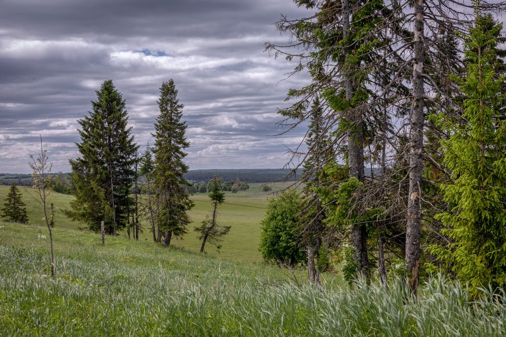 Фотография автора Александр Сальников