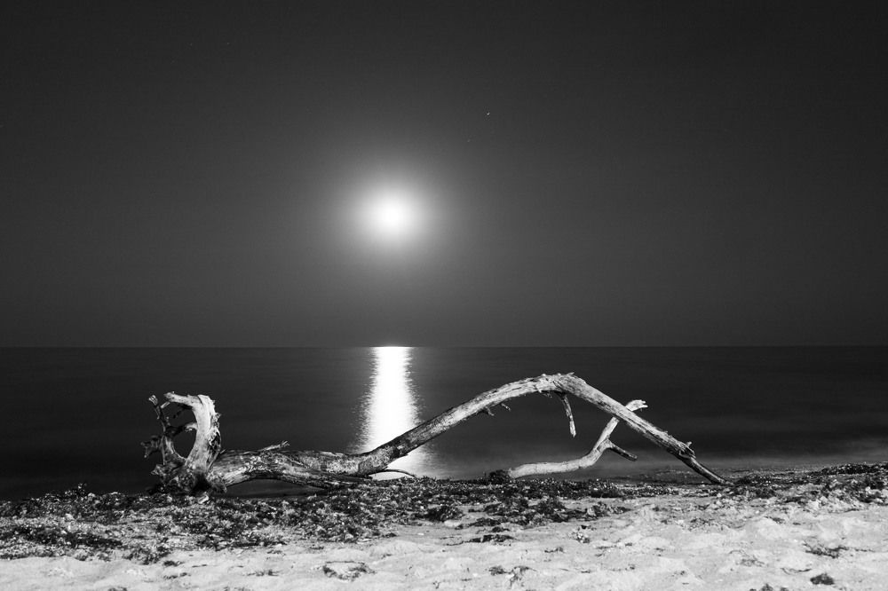 Photograph by Трайко Байко