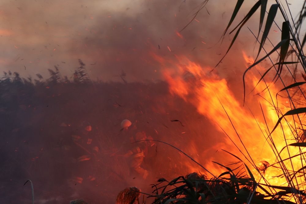 Photograph by Alexandr Tulinov