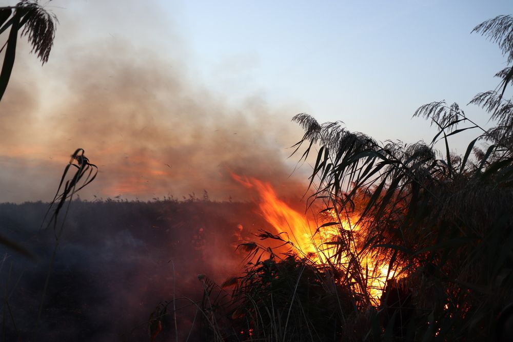 Photograph by Alexandr Tulinov