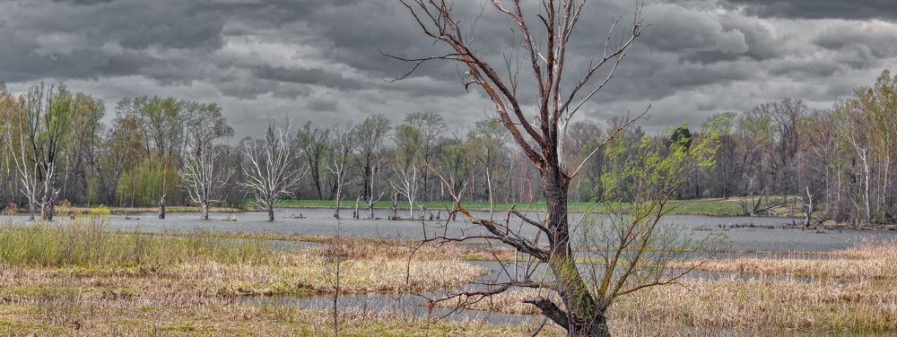 Харон встречает.