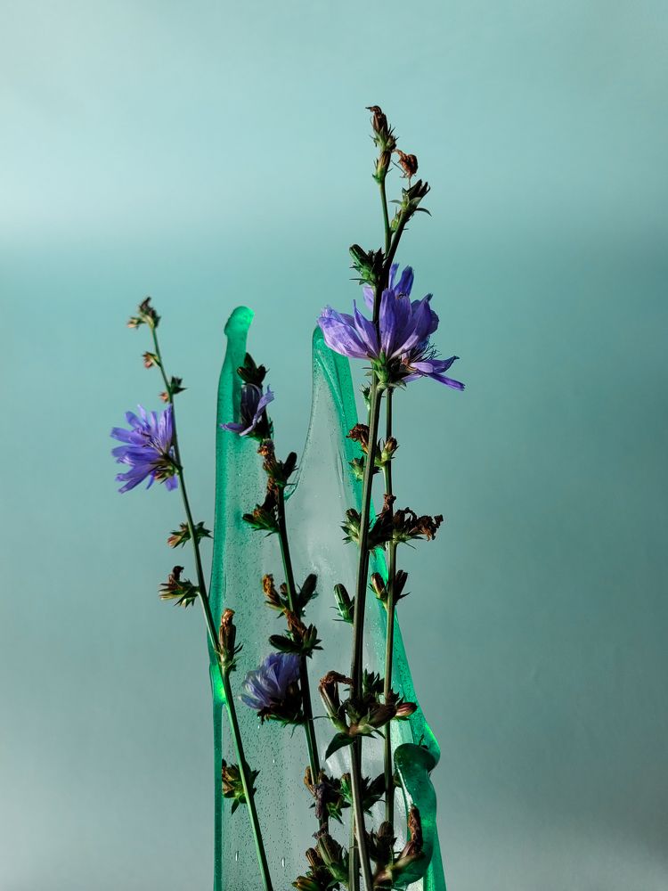 Photograph by Юлия Сусула