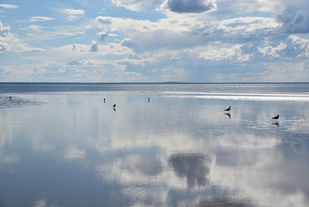 Белое море.