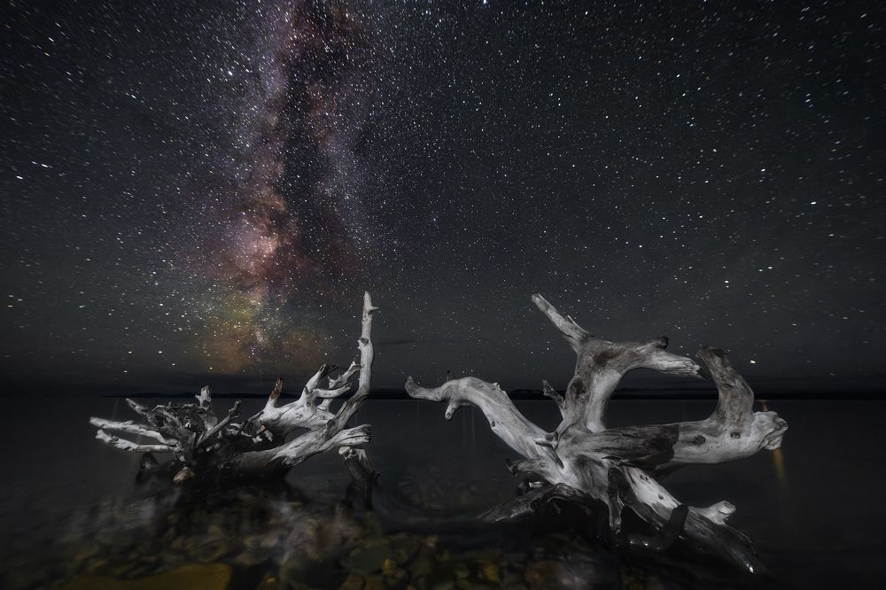 Photograph by Александр Ипполитов