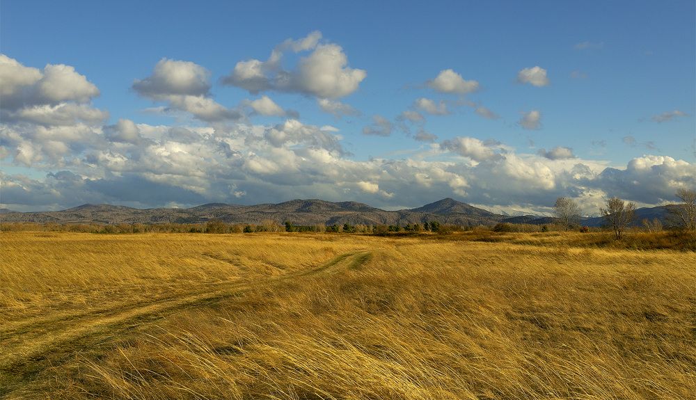 Photograph by VLAD1962 VLAD1962