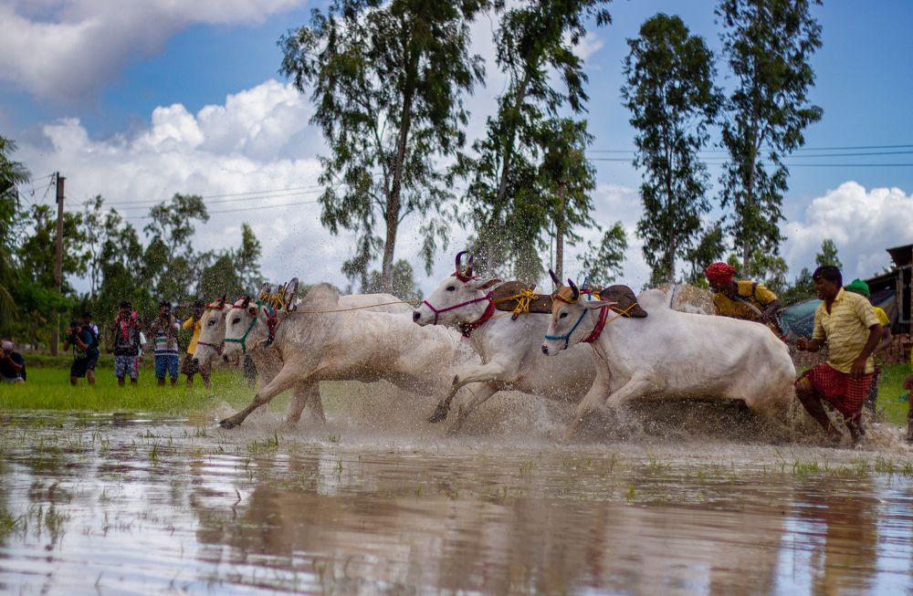 Photograph by Rajdeep Muhuri