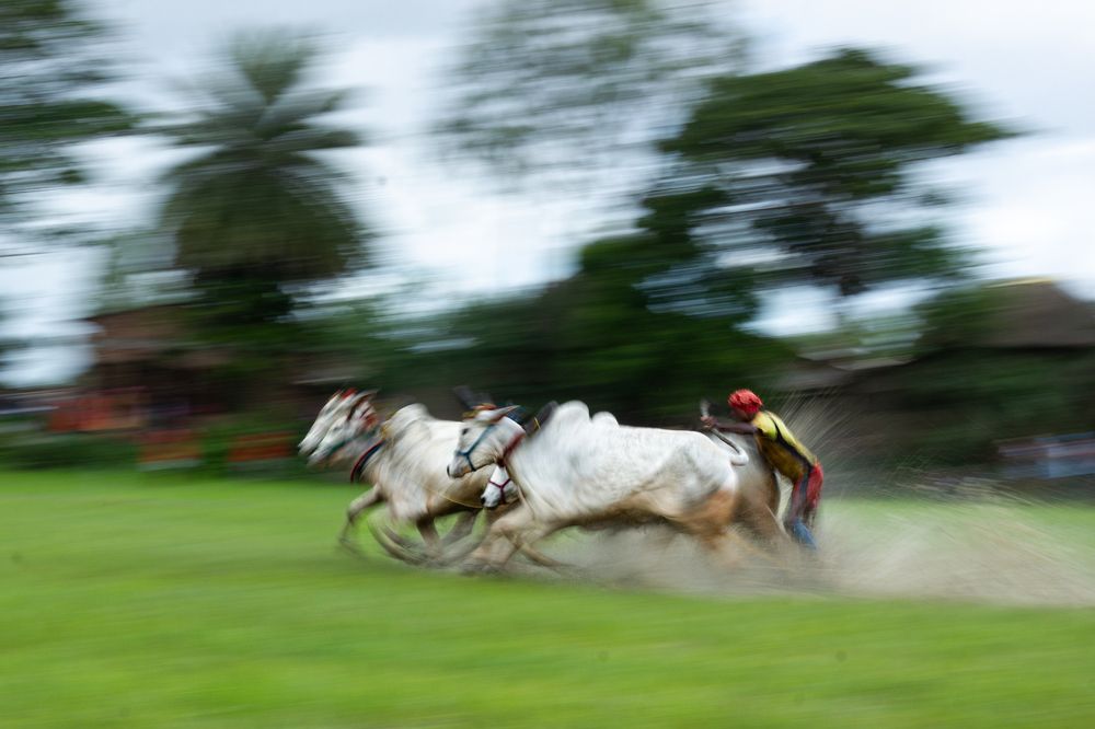 Photograph by Rajdeep Muhuri