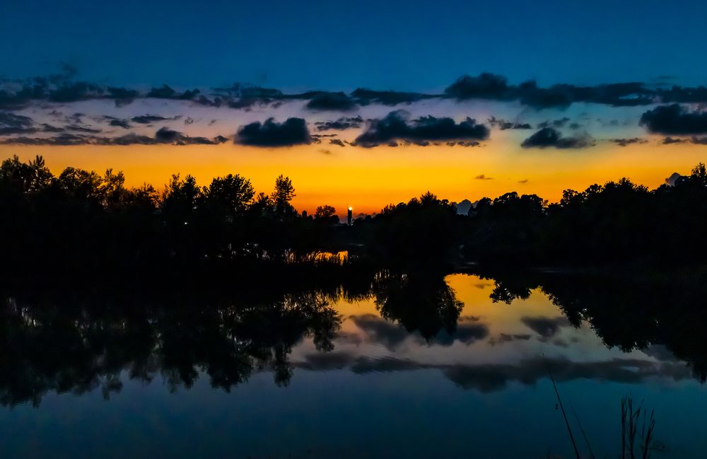 Photograph by Alex Kalpus