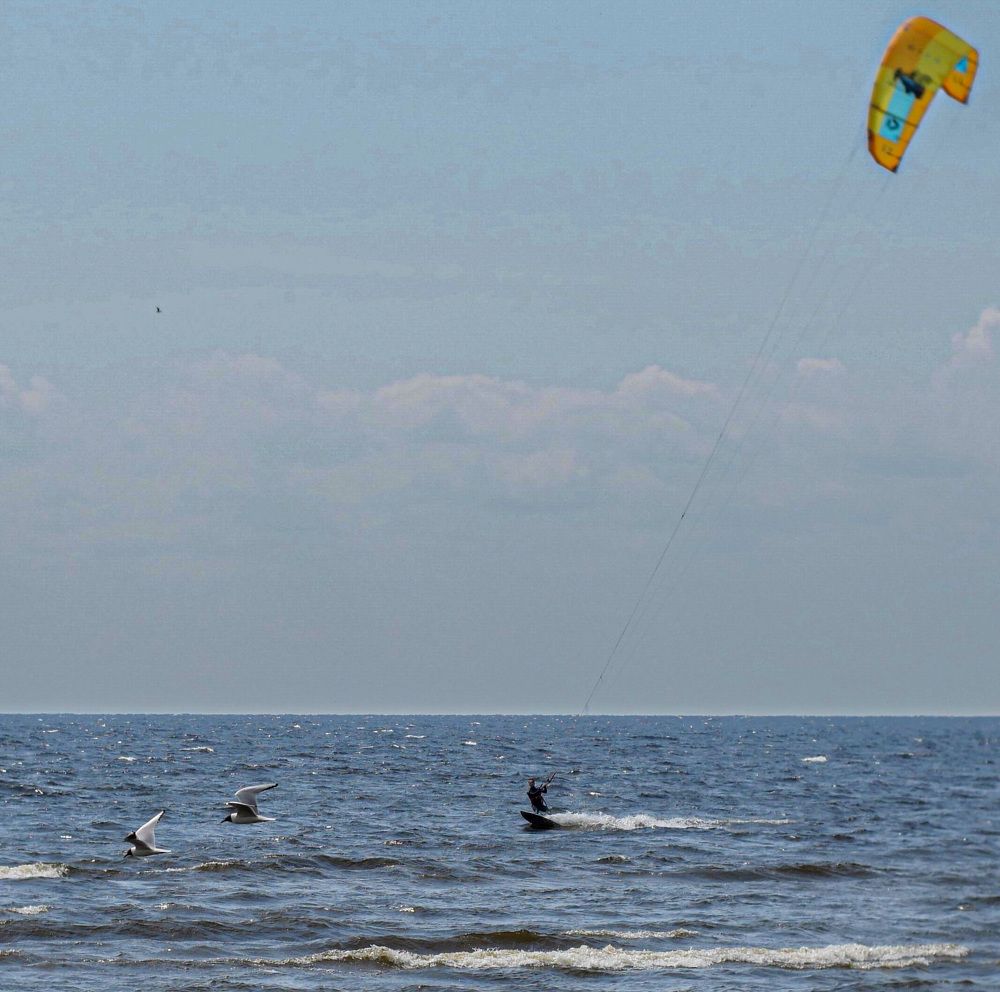 Photograph by Николай Тышкунов