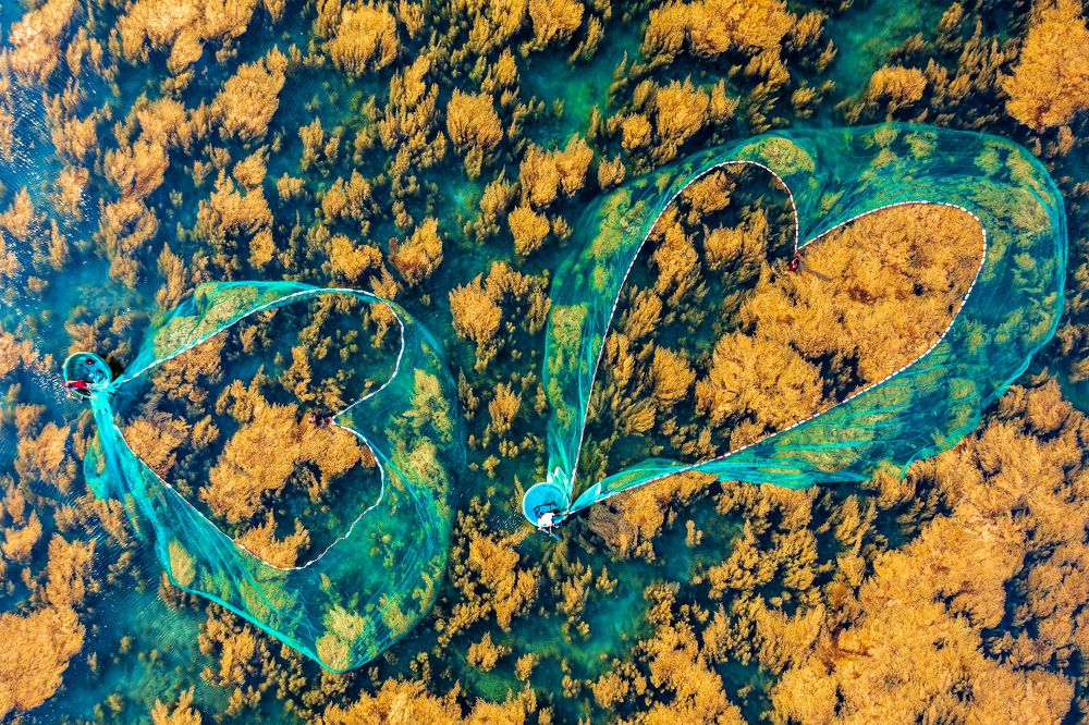 Photograph by Dinh Phong