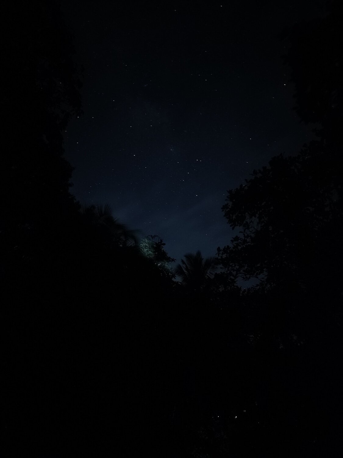 Photo #7935630
