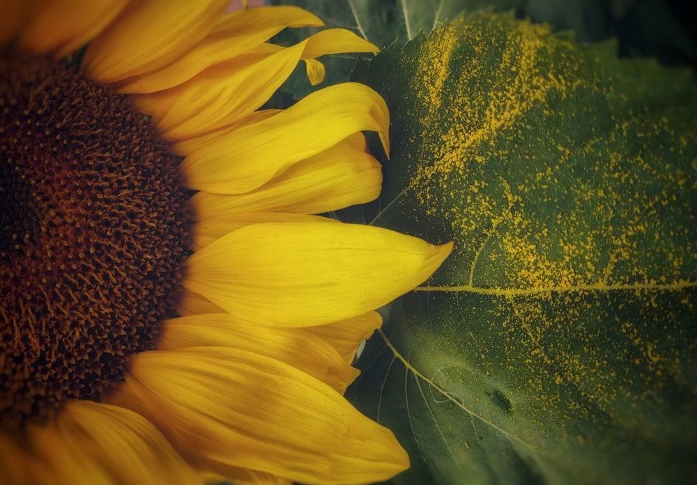 Photograph by Anastasia Uraeva