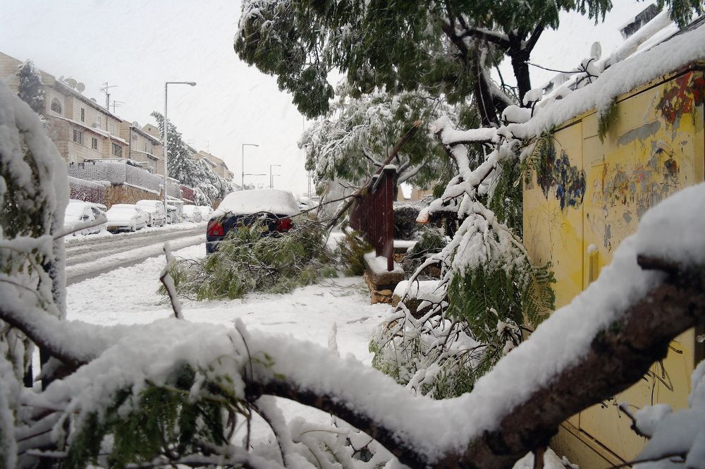 Жертвы снежной бури...