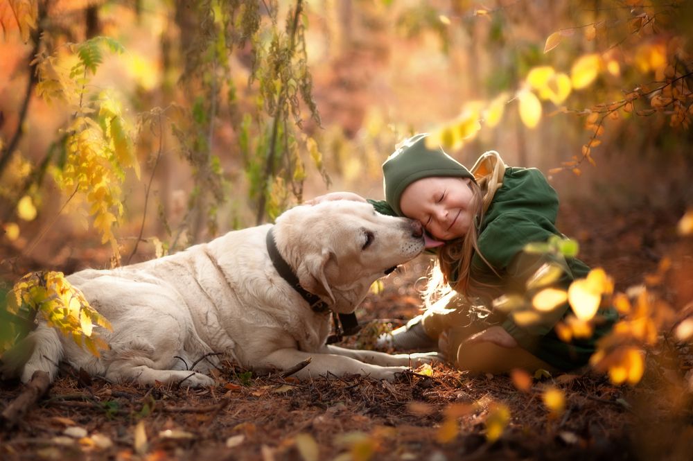 Photograph by Анна Чижма