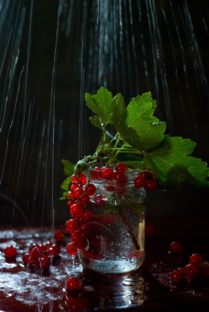 Photograph by Виктория Уварова