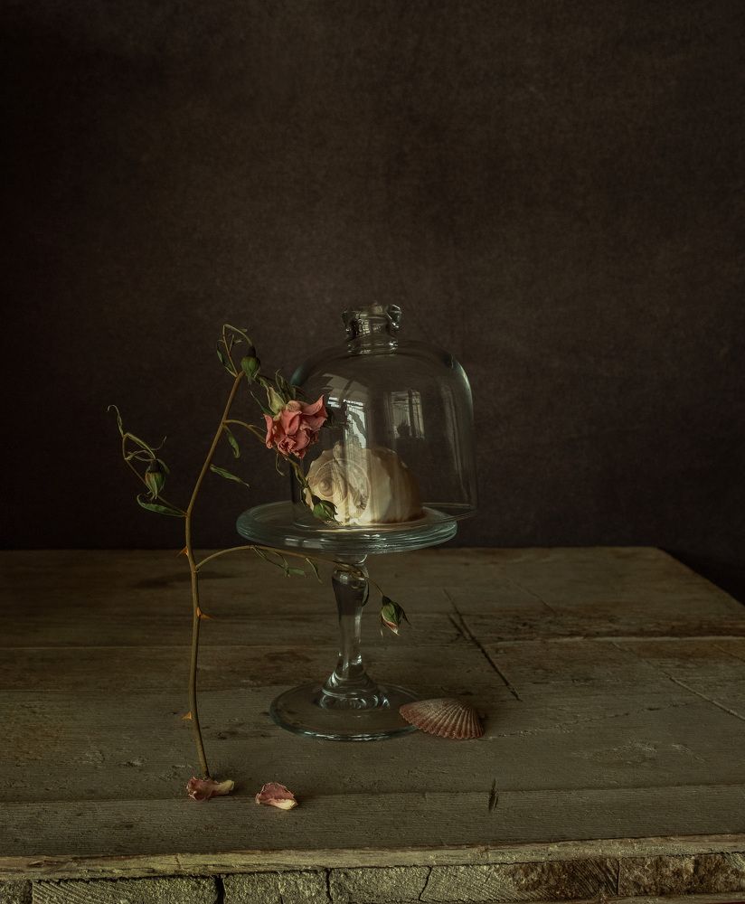 Photograph by Eugenia Briman