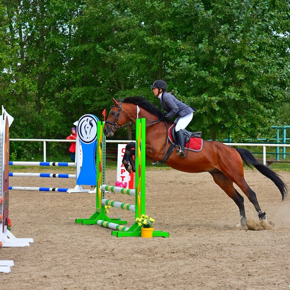 Photograph by Александр Козлов