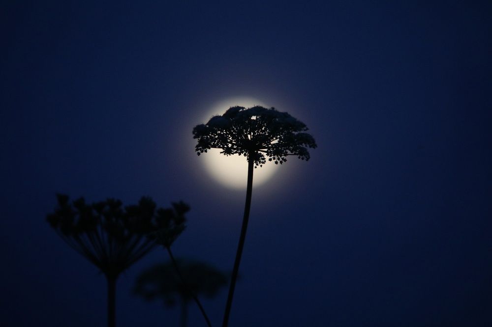 Photograph by Сергей Захаров