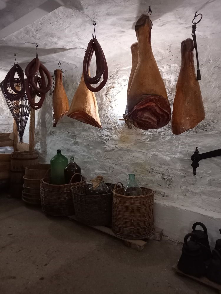 Photograph by Viktoria Vavilkina