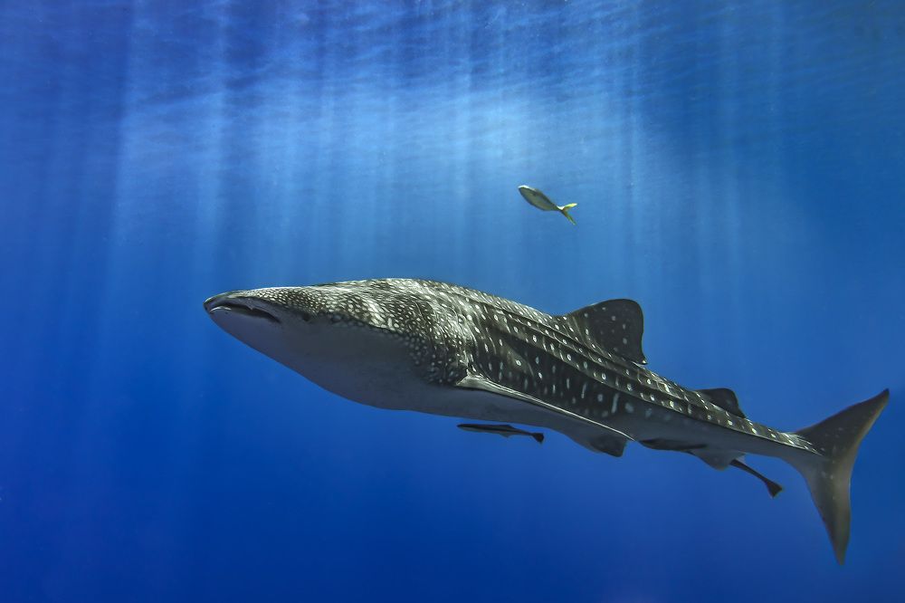 Photograph by Руслан Орлов