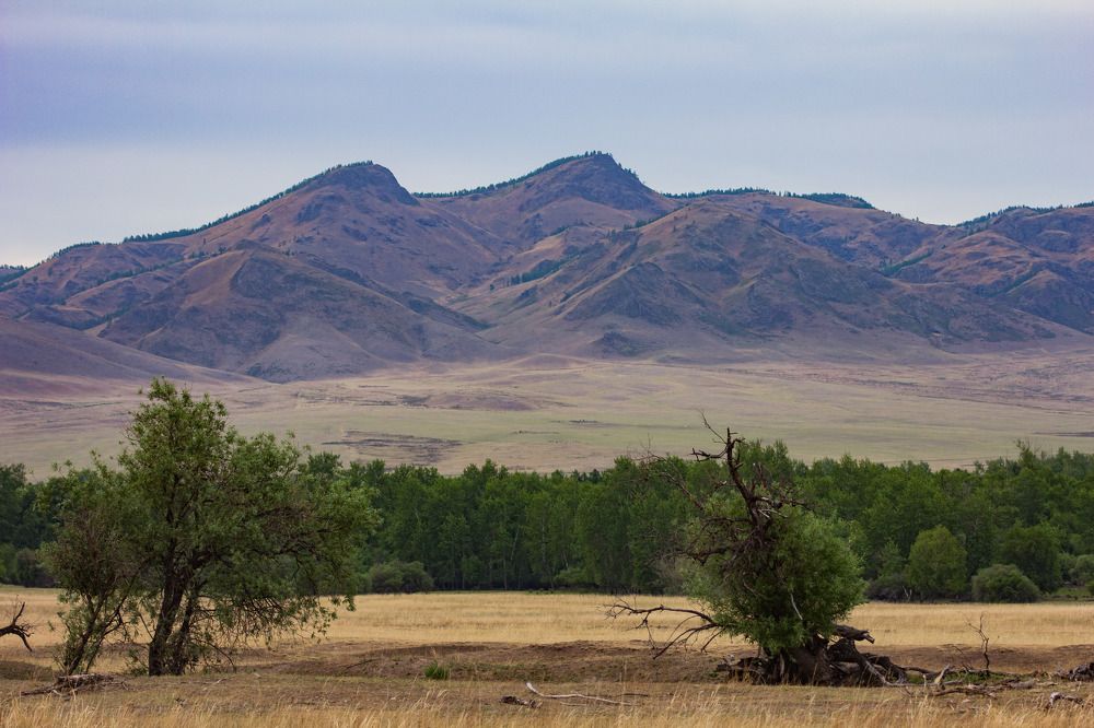 Photograph by Максим Щукин