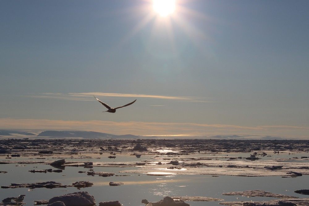 Фотография автора Данил Рейх