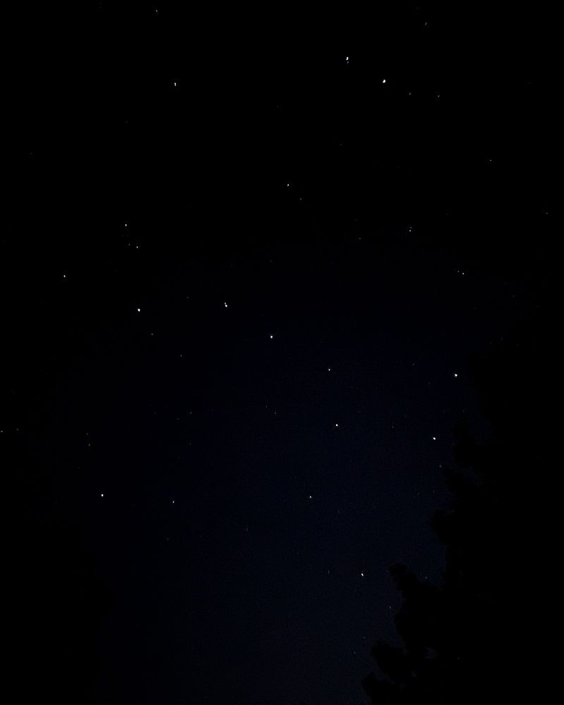 Photograph by Татьяна Гринько