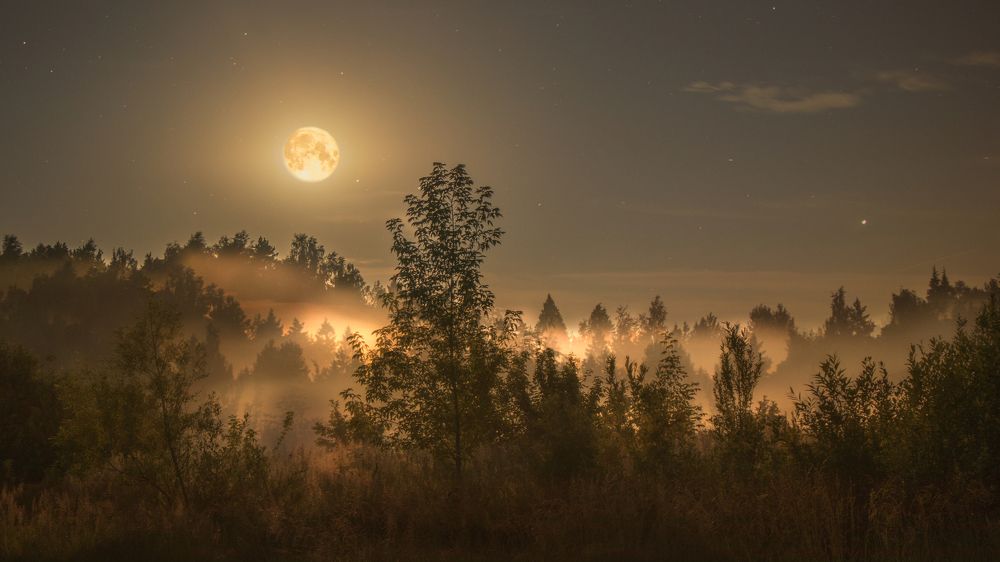 Photograph by Виктория Попкова