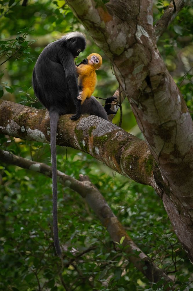 Photograph by Lucas Oh