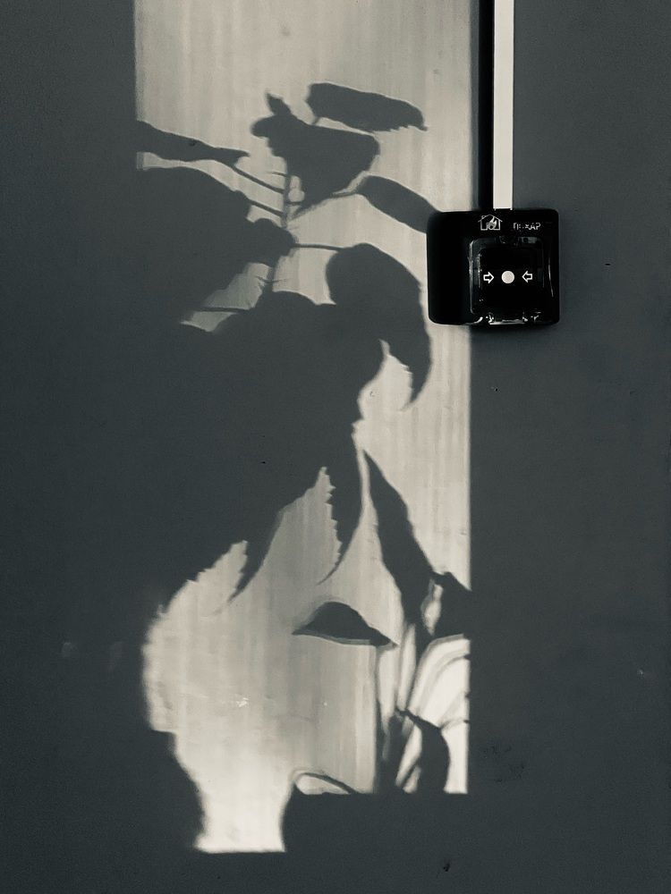 Photograph by Александр Максимов