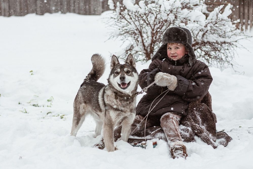 Photograph by Арина Ворфоломеева