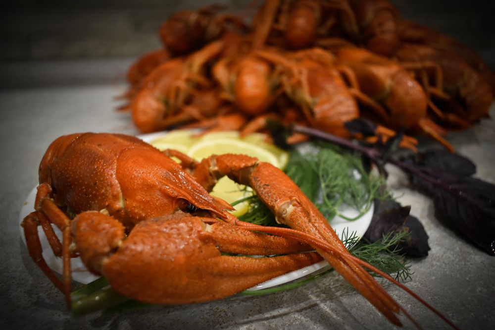 Photograph by Светлана Войта