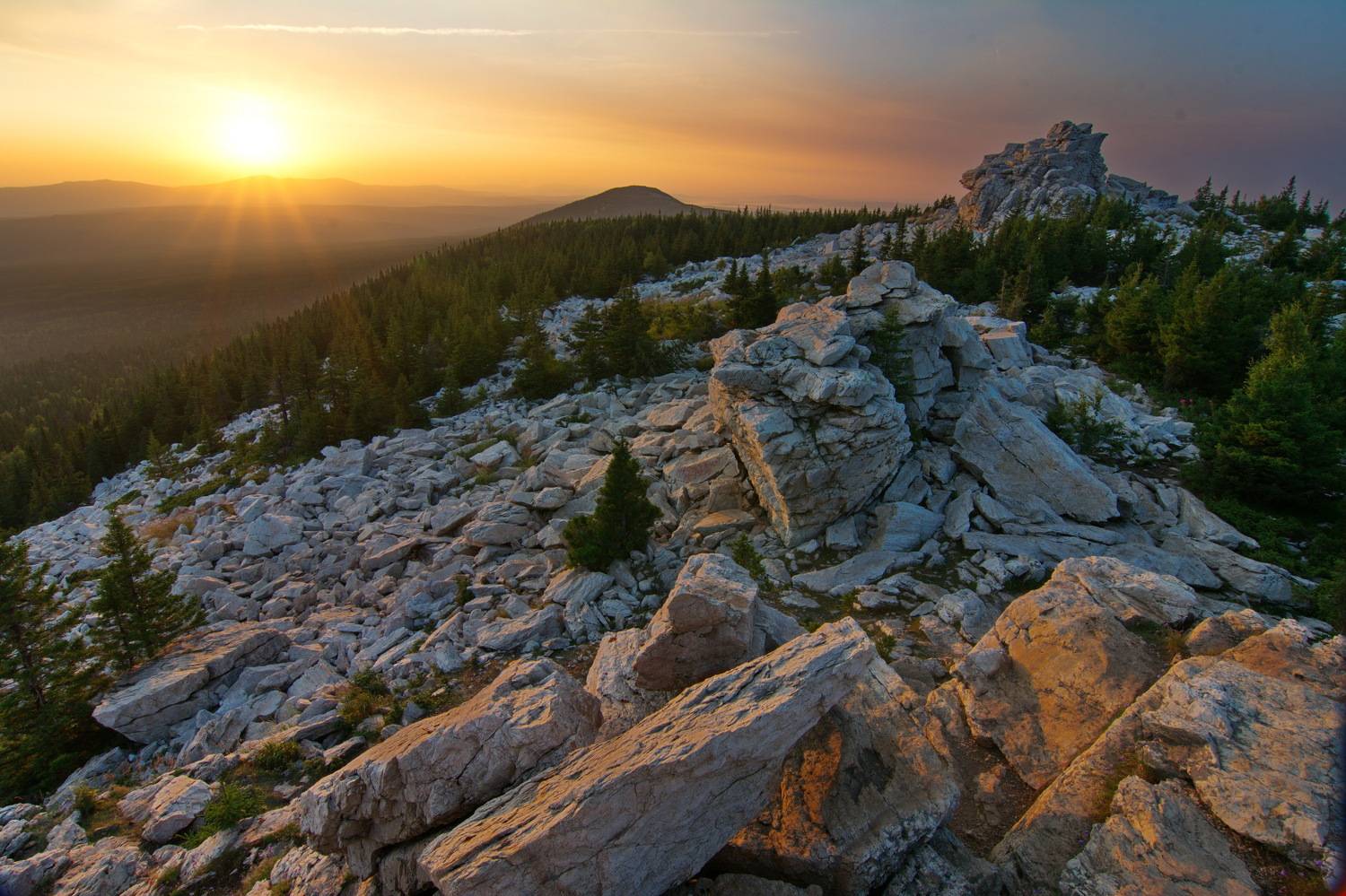 Photo #7936571