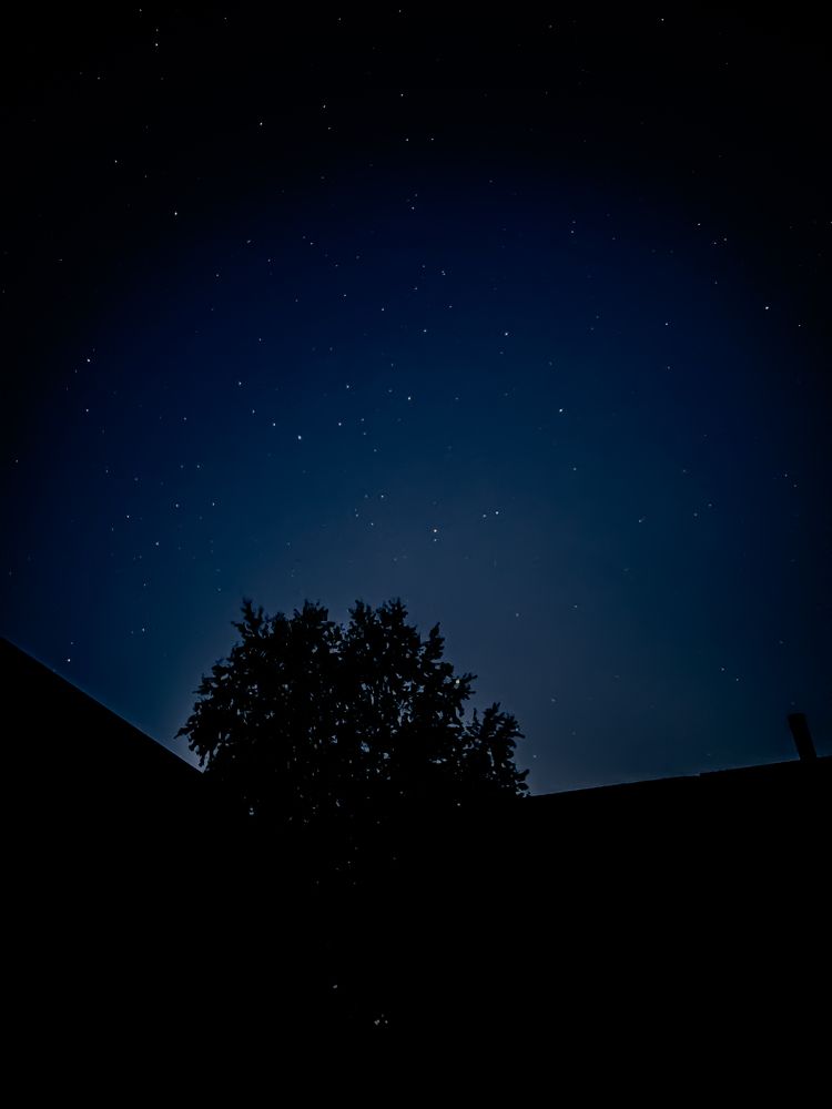Photograph by T.Ю. Гринько
