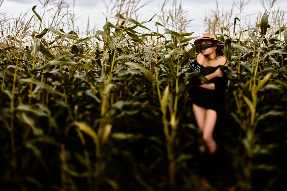 Photograph by Артем Дубовцев