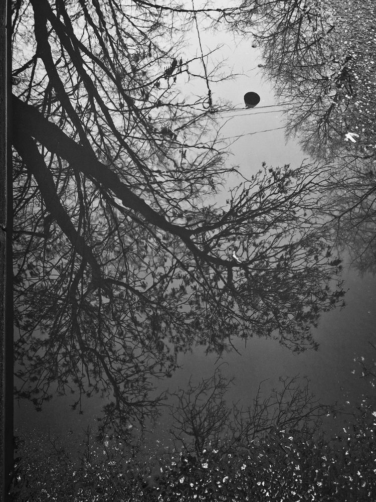 Photograph by Лазарев Евгений