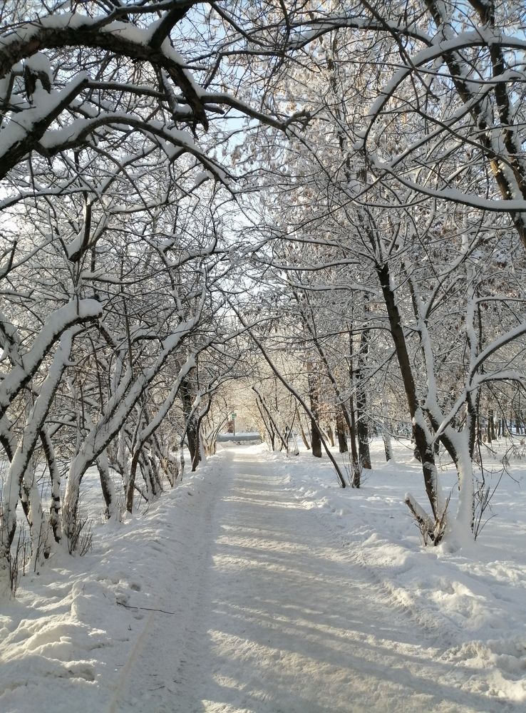 Photograph by Галина Смирнова