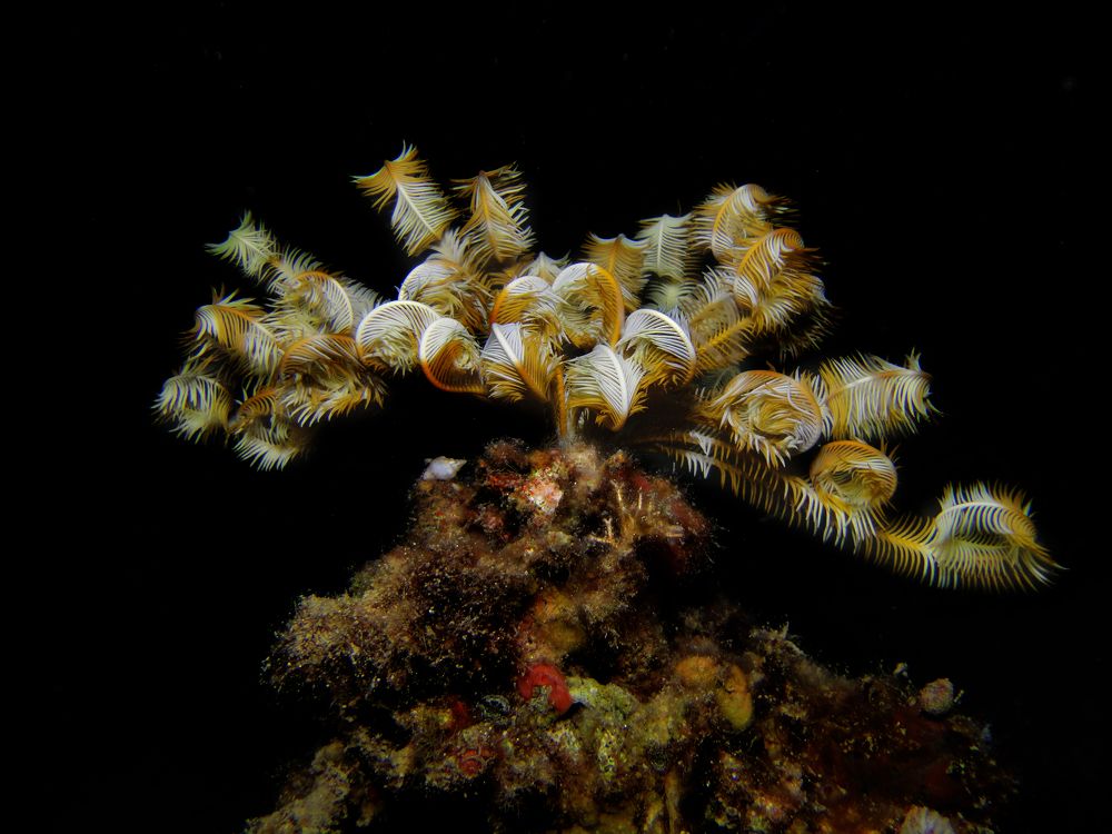 Photograph by Дмитрий Челноков