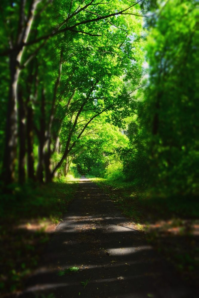 Photograph by Мария Опритова