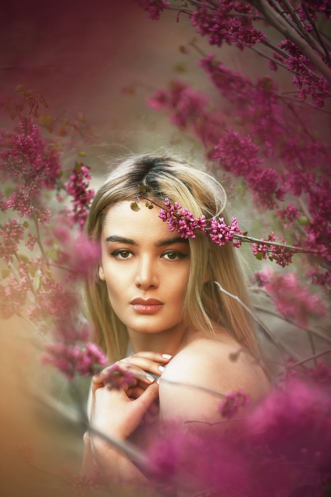 Photograph by masoud haghani